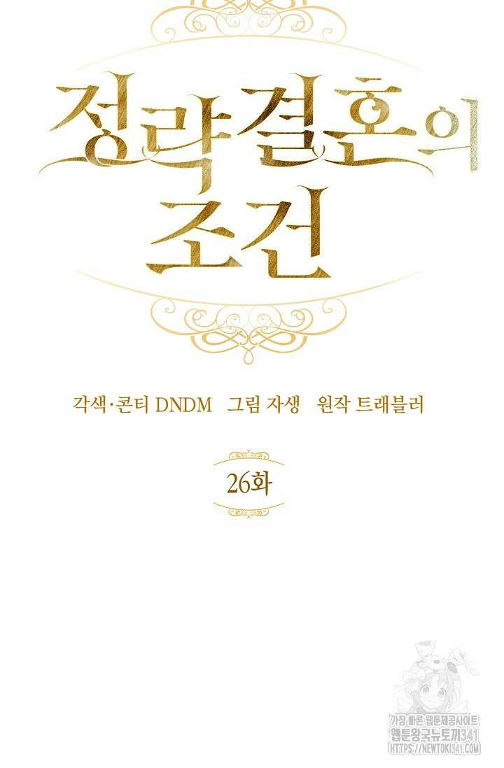 정략결혼의 조건 26화 14