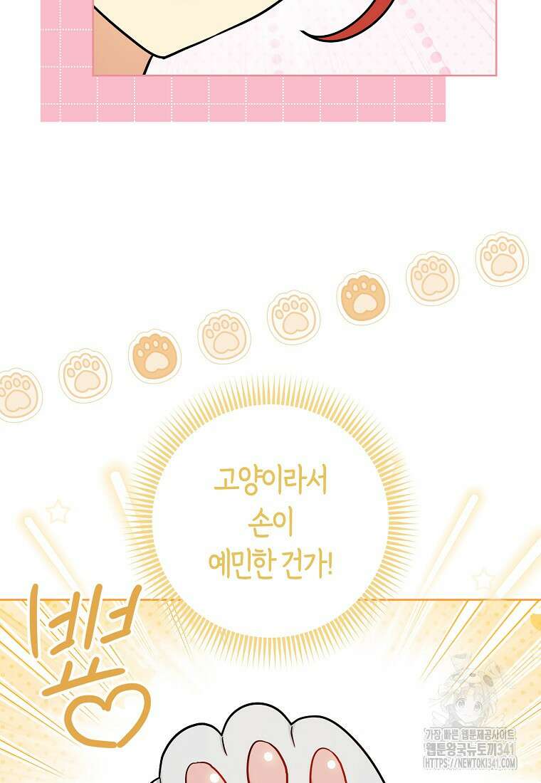 악역에 빙의했지만, 고양이나 키울래요 12화 19