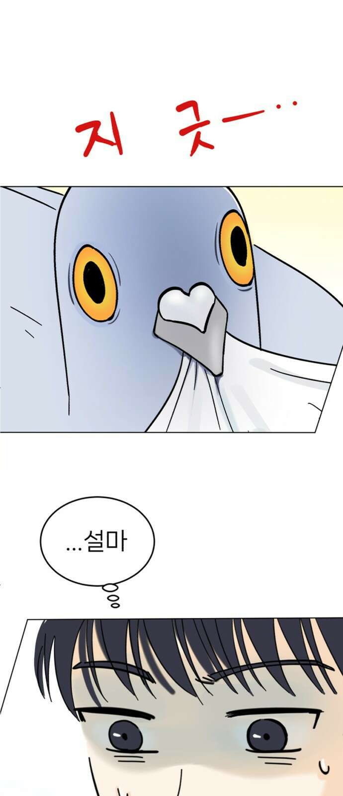 성북구 비둘기 이헌서 2화) 실례합니다. 1