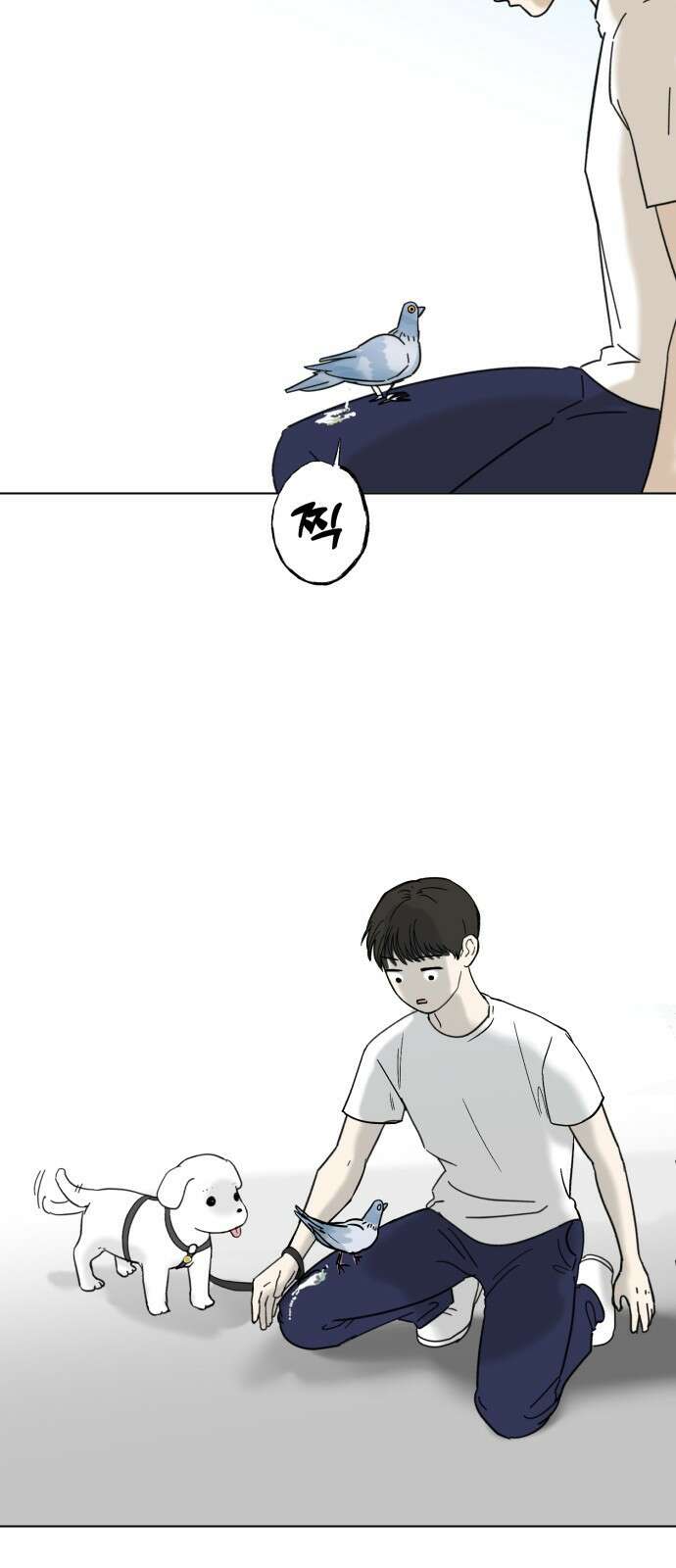 성북구 비둘기 이헌서 2화) 실례합니다. 3