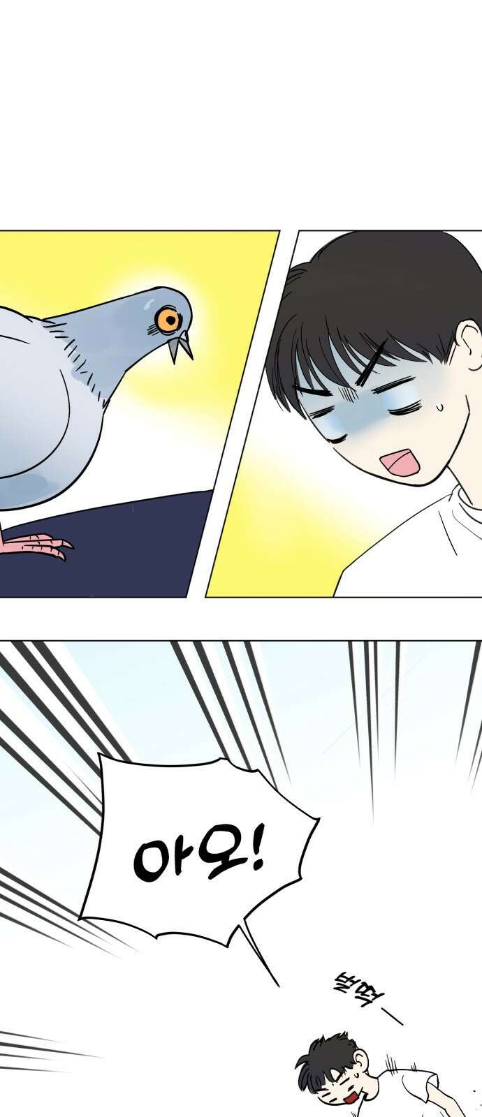성북구 비둘기 이헌서 2화) 실례합니다. 4