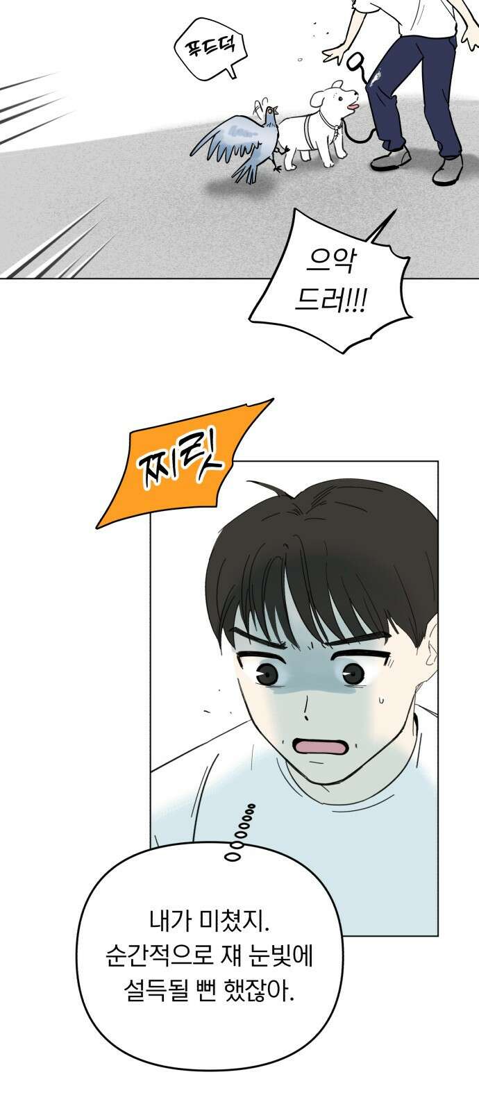 성북구 비둘기 이헌서 2화) 실례합니다. 5