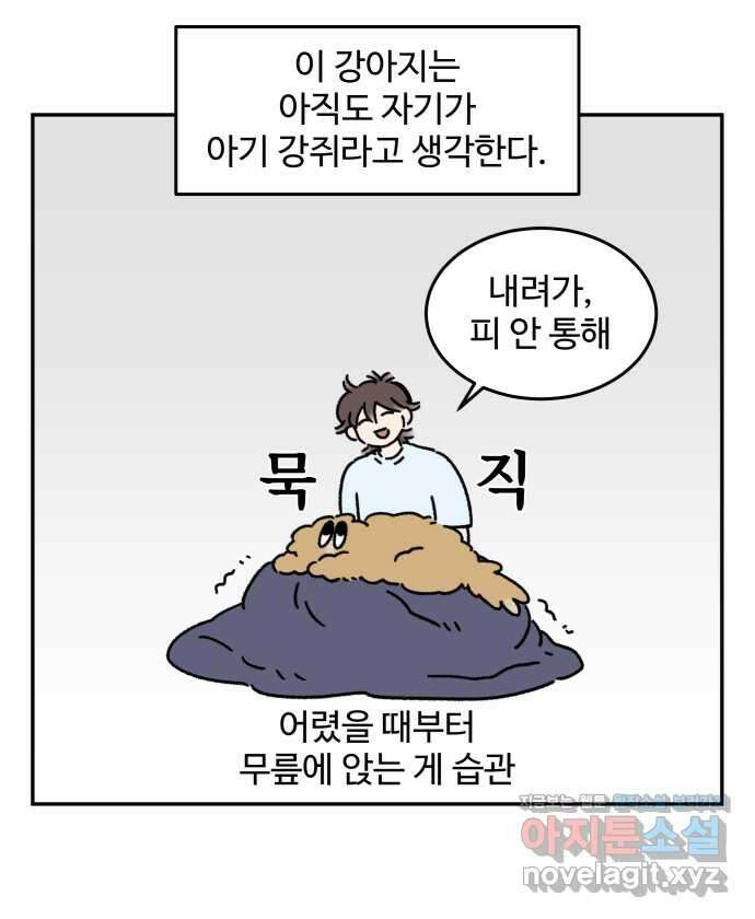 강아지는 멍멍하고 짖지 않아! 104화 - 과거의 영광 2