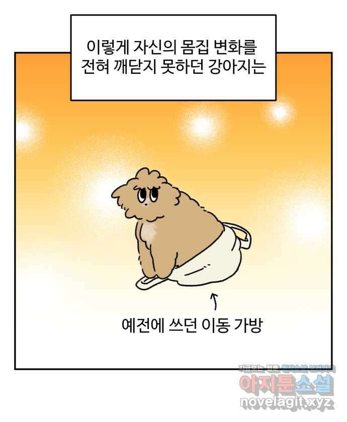 강아지는 멍멍하고 짖지 않아! 104화 - 과거의 영광 5