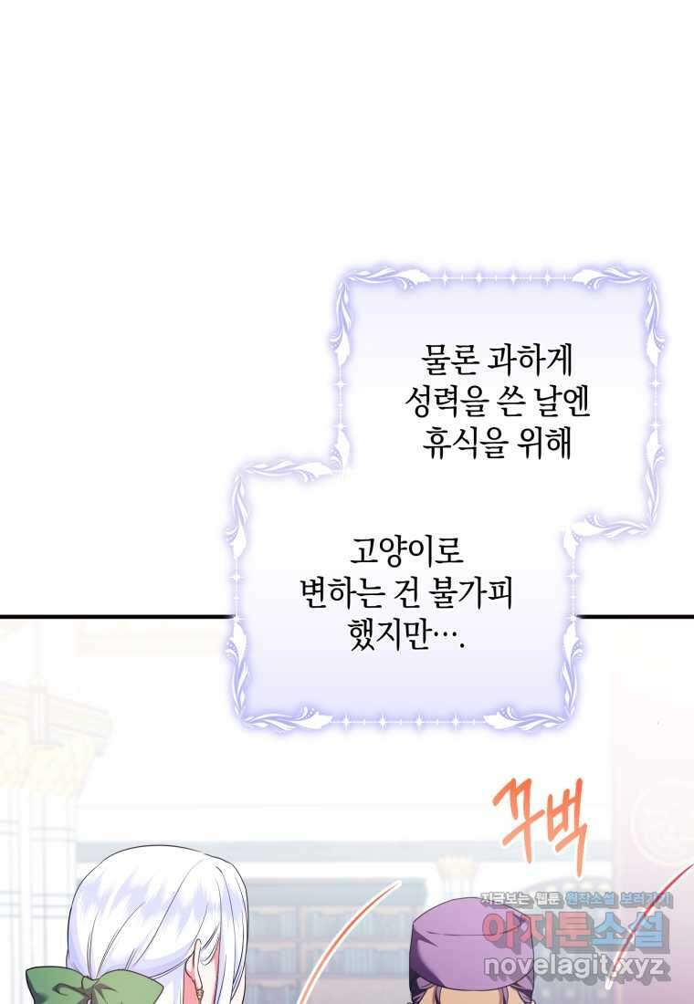 술탄의 귀한 고양이가 되었습니다 60화 17
