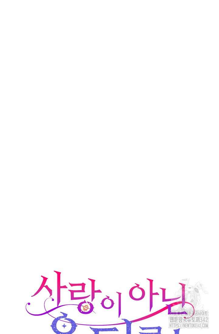 사랑이 아닌 은퇴를 17화 12