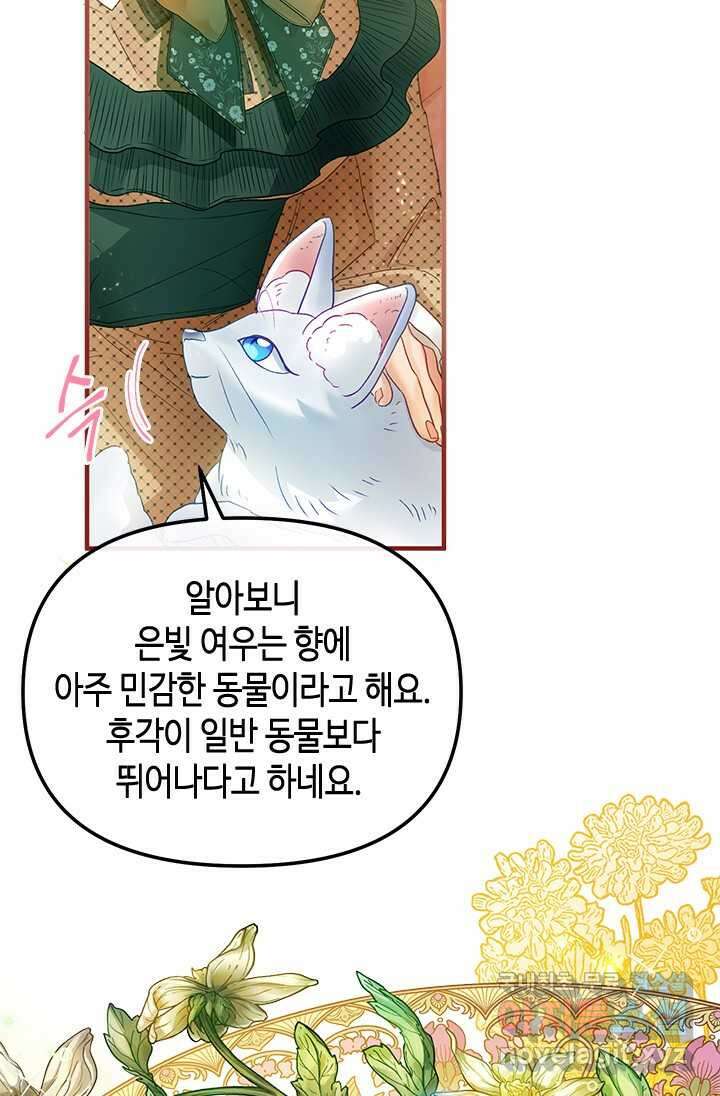 가짜 애첩의 화려한 일상 97화 17