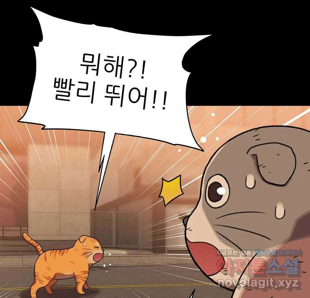 무지개다리 파수꾼 138화 11