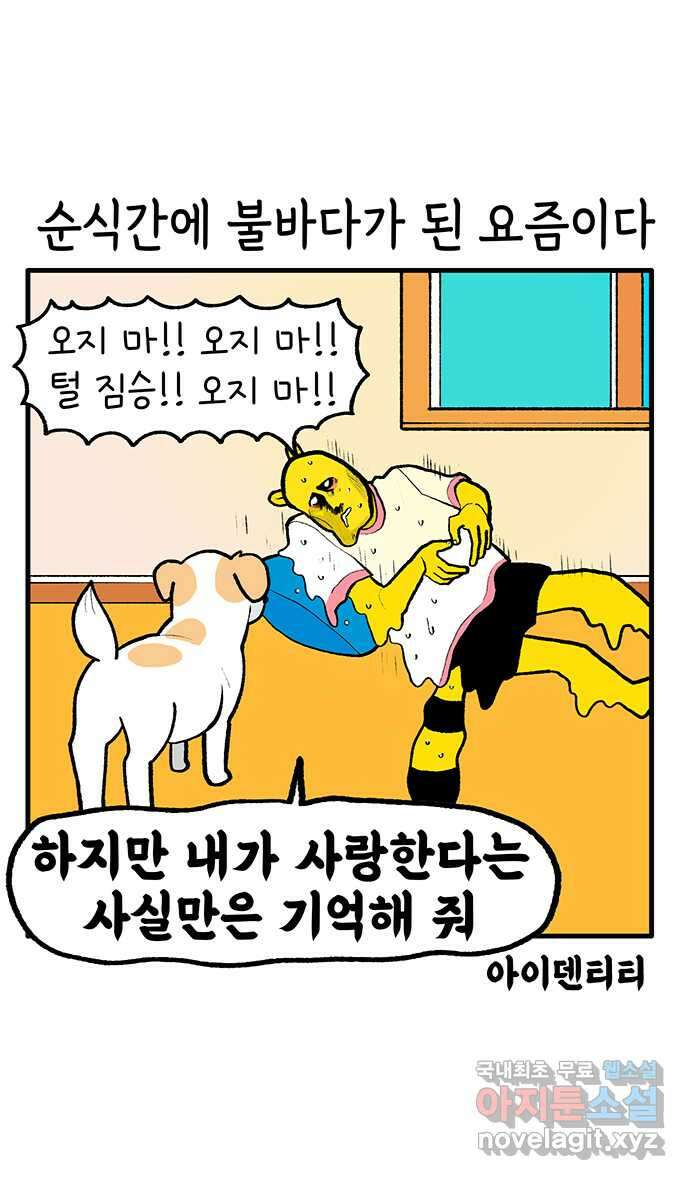 루루라라 우리네 인생 174화 산에서 여름 나기 1