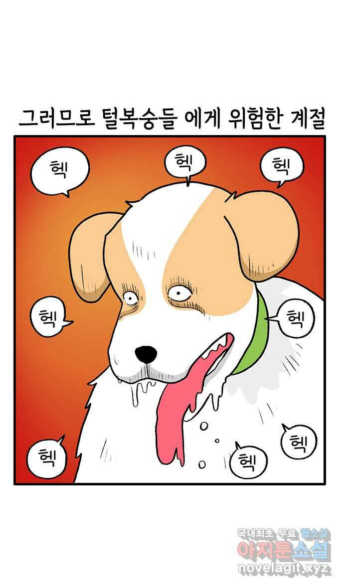 루루라라 우리네 인생 174화 산에서 여름 나기 6