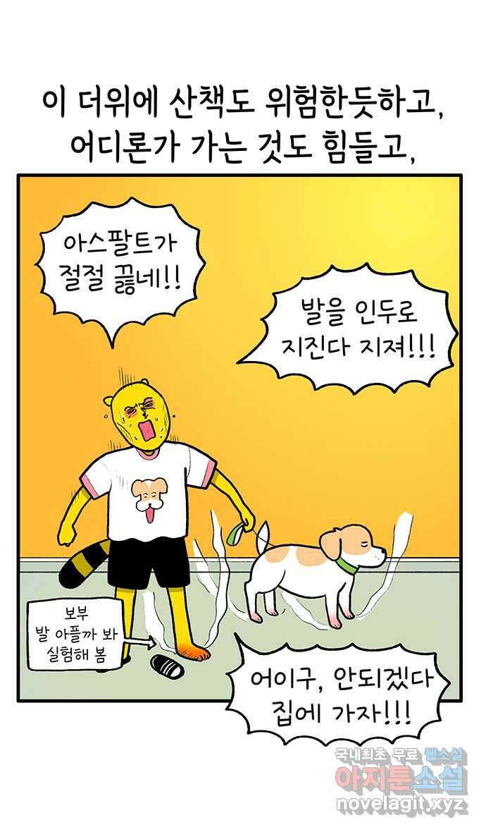 루루라라 우리네 인생 174화 산에서 여름 나기 7