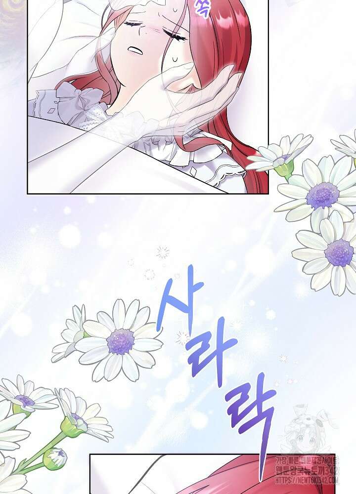 셀럽 레이디 14화 17