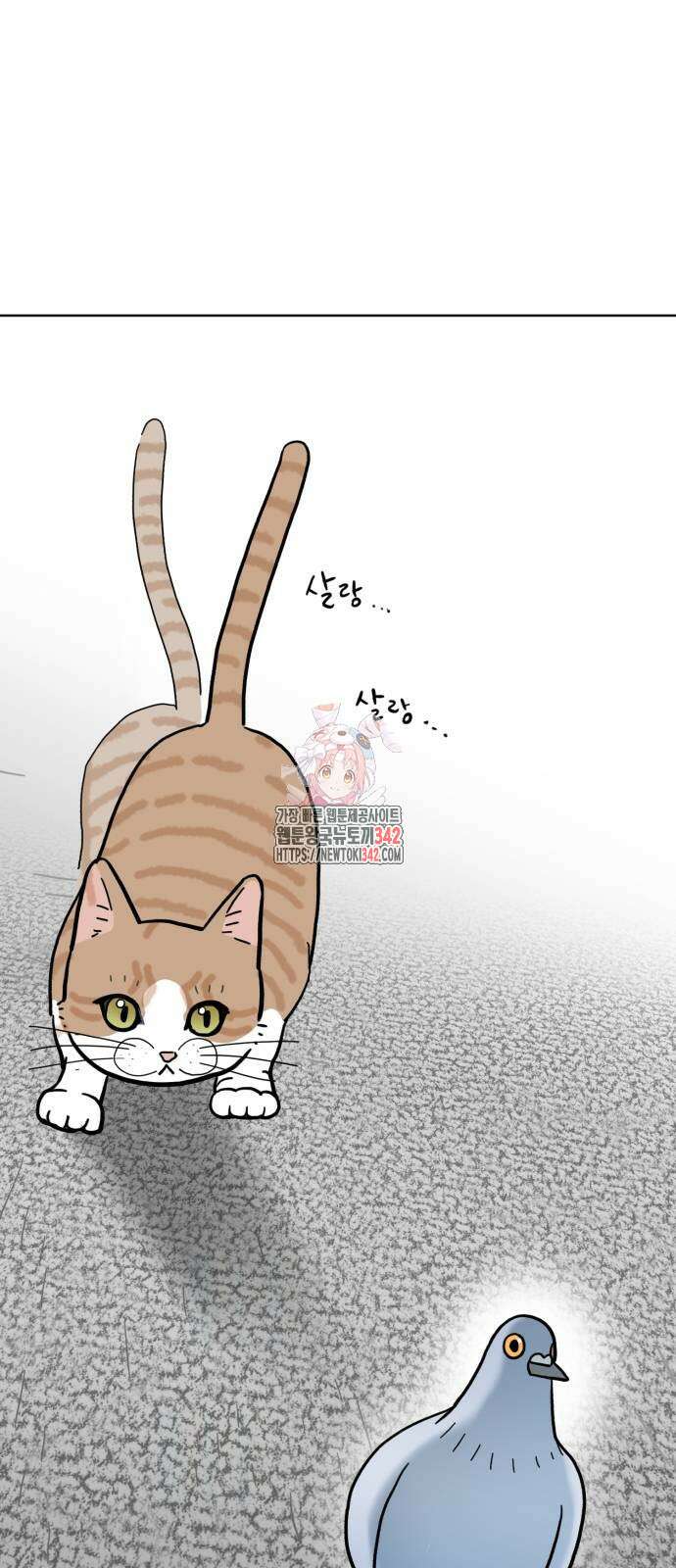 성북구 비둘기 이헌서 11화 1