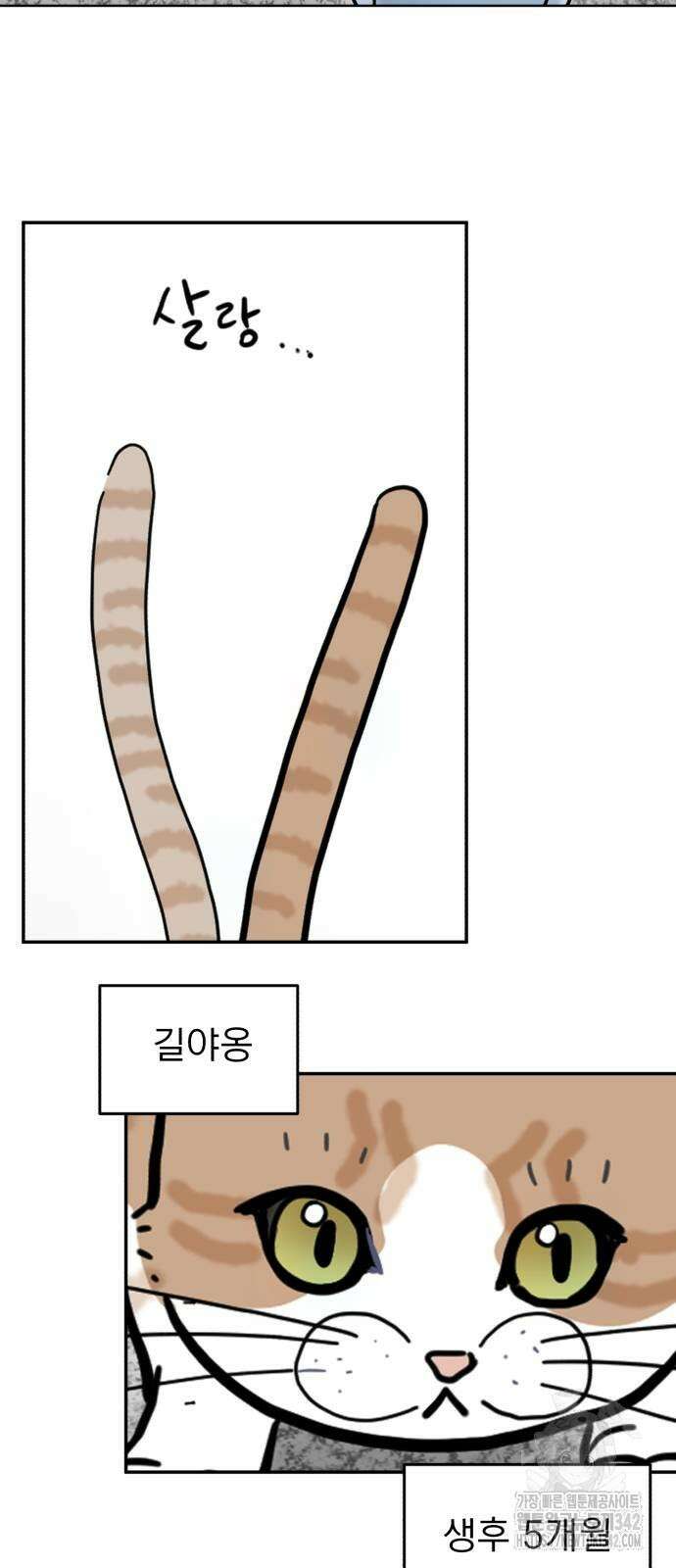 성북구 비둘기 이헌서 11화 2