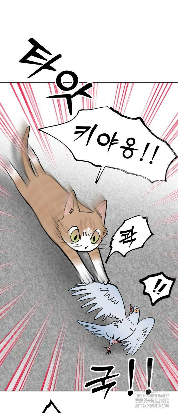 성북구 비둘기 이헌서 11화 4