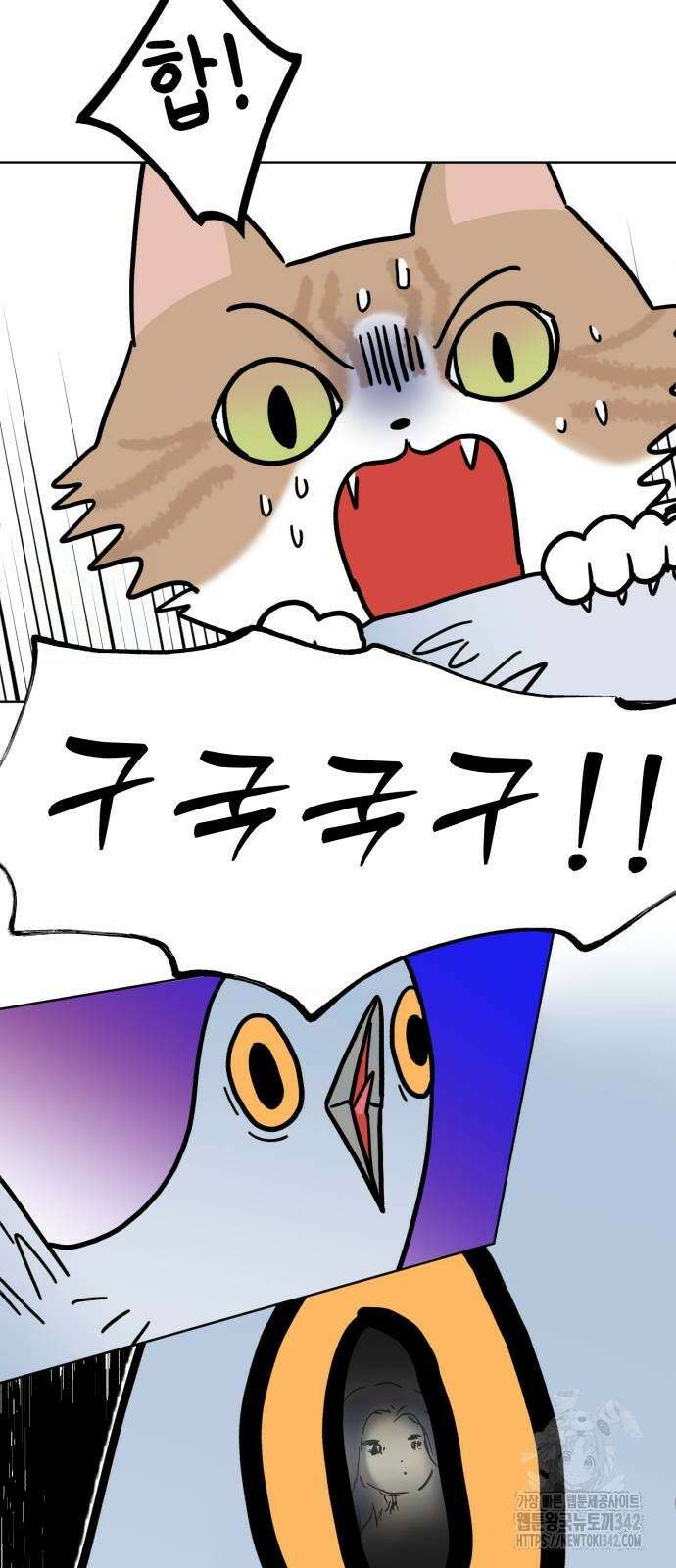 성북구 비둘기 이헌서 11화 5