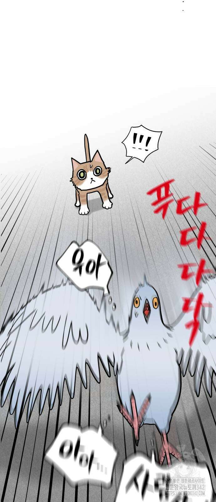 성북구 비둘기 이헌서 11화 9
