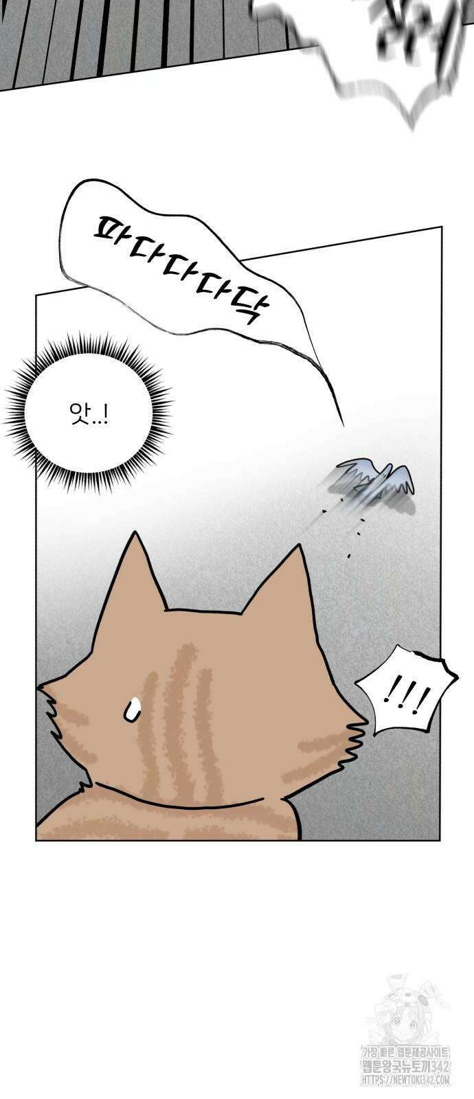 성북구 비둘기 이헌서 11화 10
