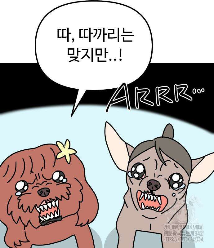 바바리안 영애 17화 174