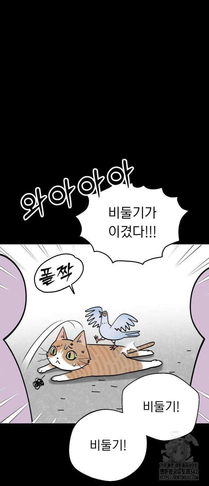 성북구 비둘기 이헌서 12화 8