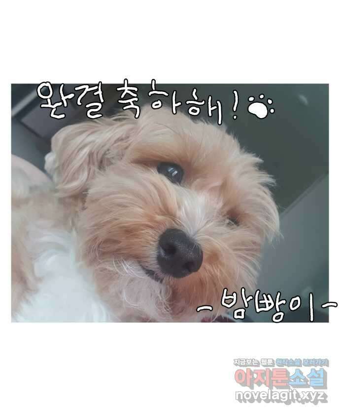 강아지는 멍멍하고 짖지 않아! 후기 23