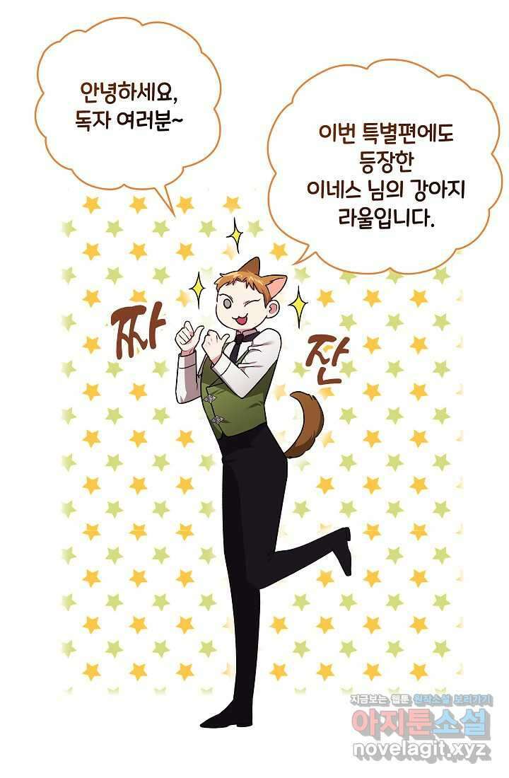 이 결혼은 어차피 망하게 되어 있다 특별편 2