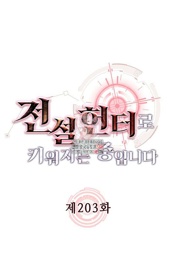 전설 헌터로 키워지는 중입니다 203화 1