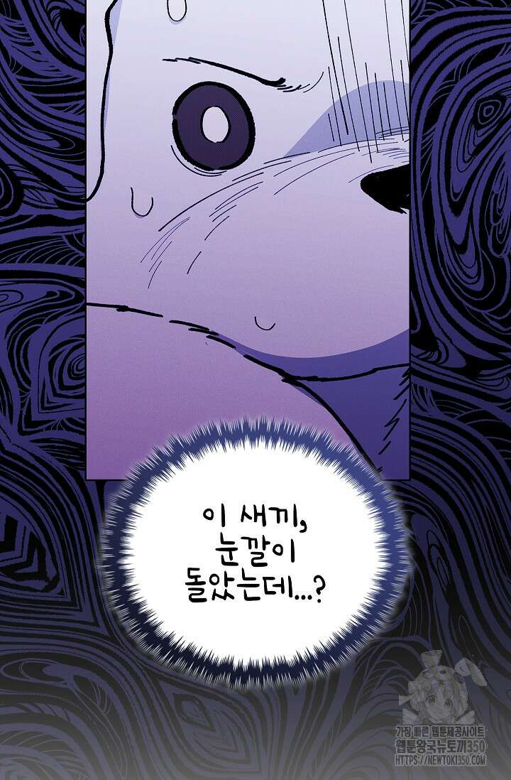 강아지는 건드리지 마라 6화 4