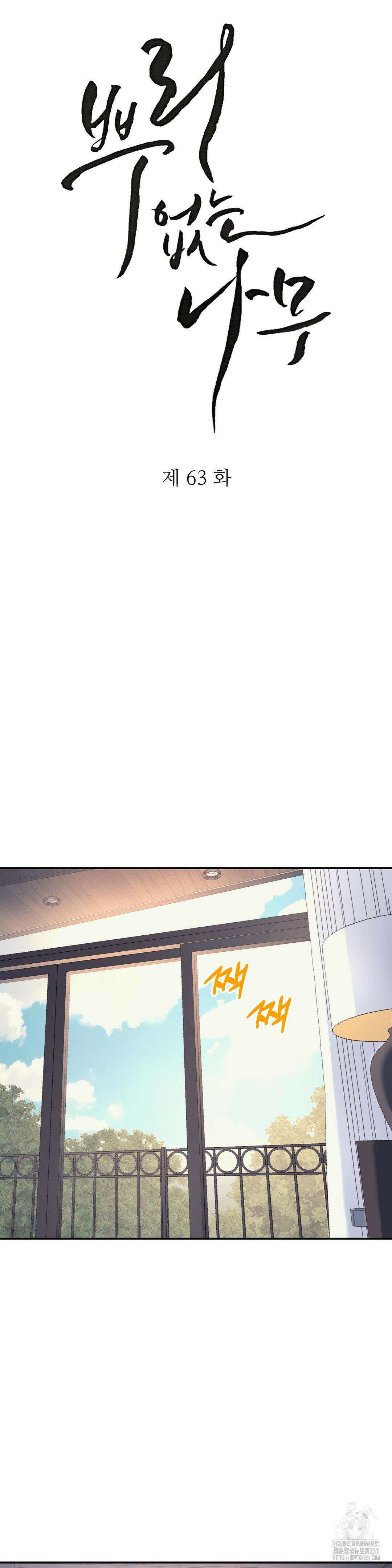 뿌리 없는 나무 63화 13
