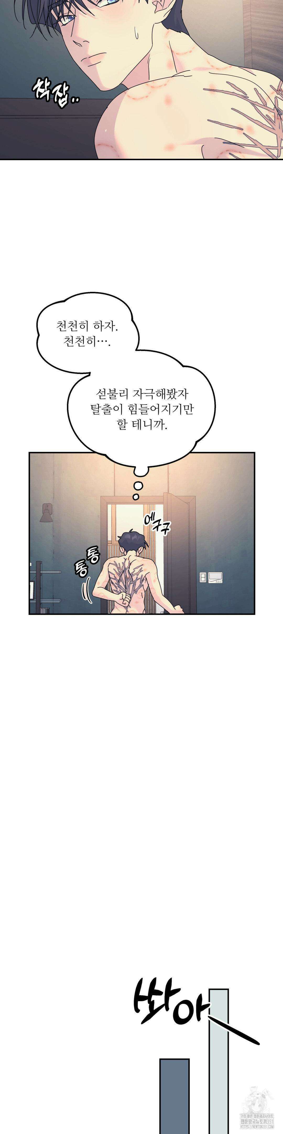 뿌리 없는 나무 63화 23