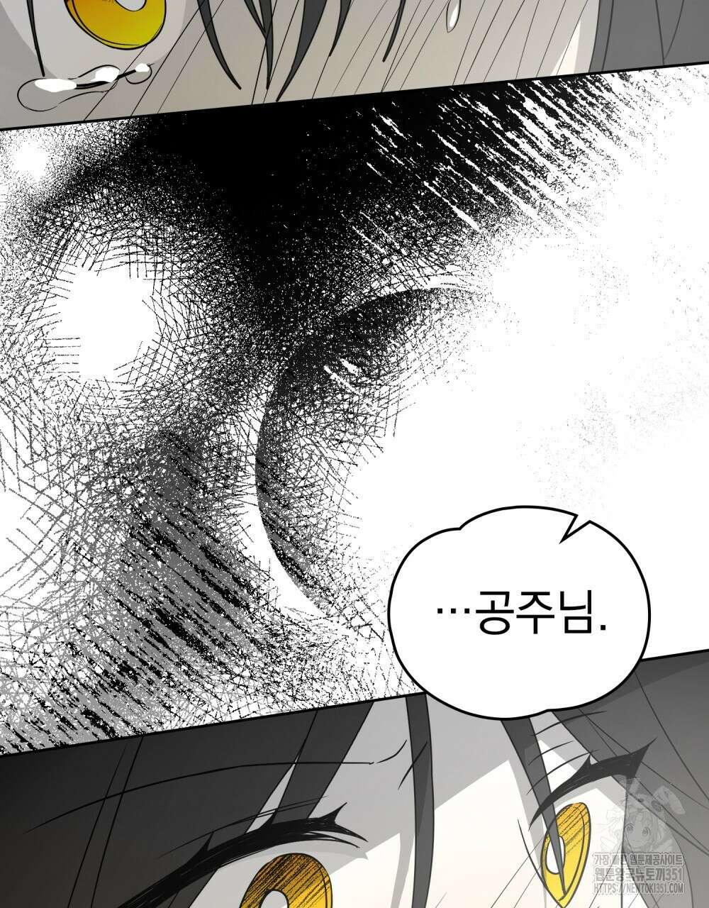 시한부 공주님을 사랑하게 된다면 69화 14