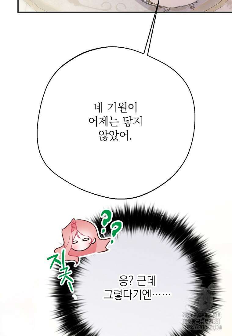마음이 이끄는 대로 23화 24