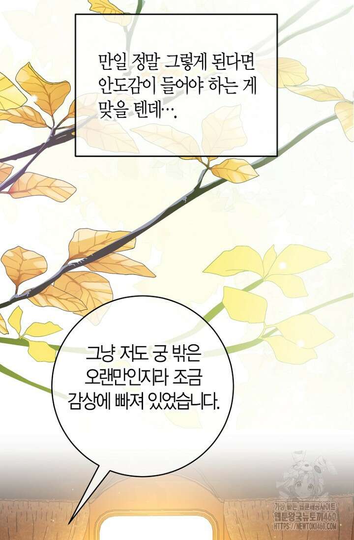 사랑이 아닌 은퇴를 29화 71