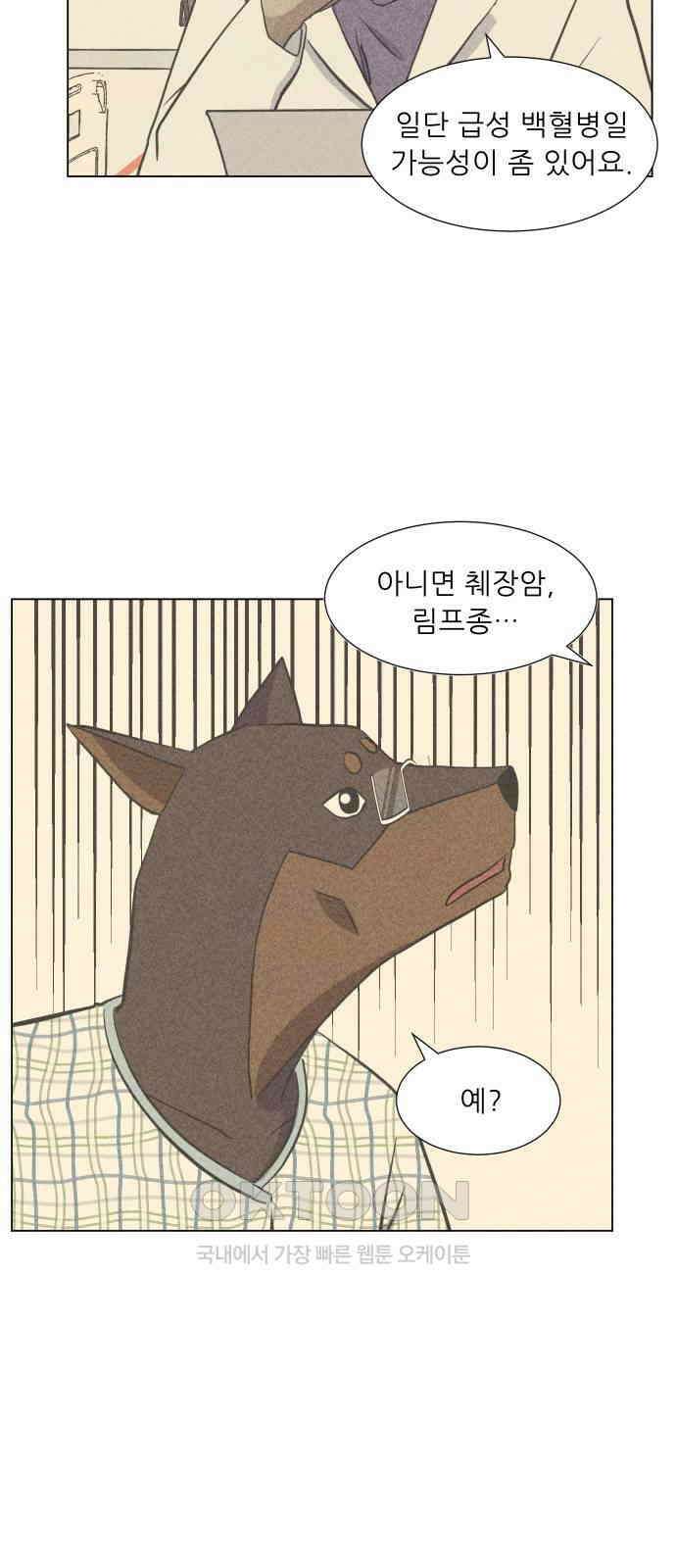 닥터앤닥터 병원일기 81화 오솔길0 7