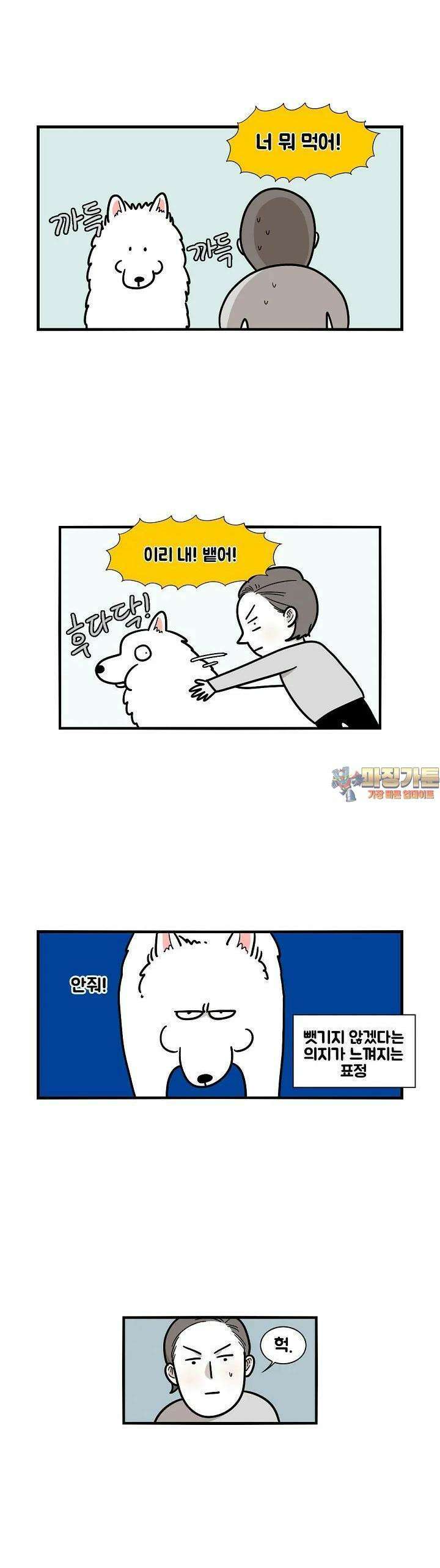 극한견주 5화 산책 2 1