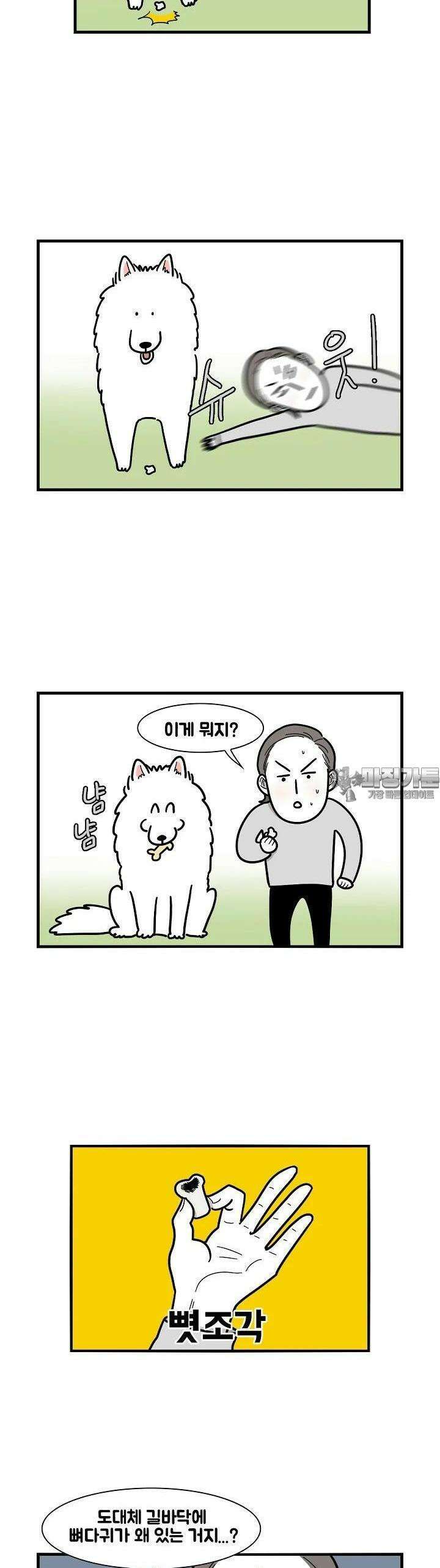극한견주 5화 산책 2 3
