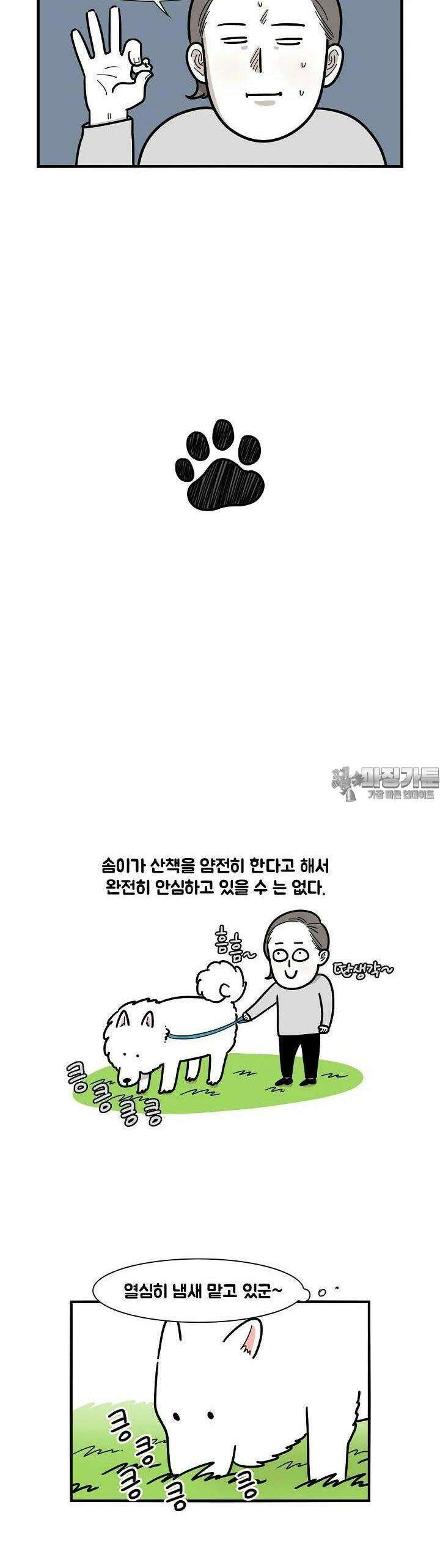 극한견주 5화 산책 2 4