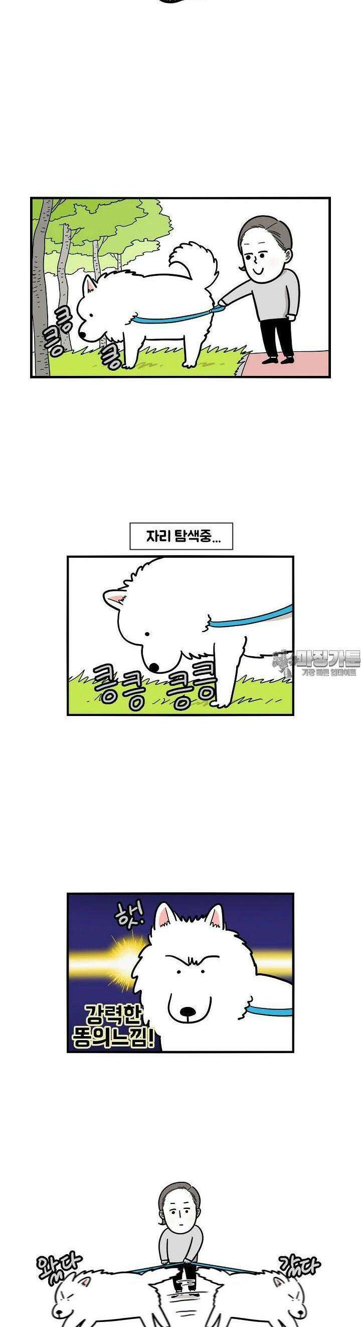 극한견주 11화 똥 3