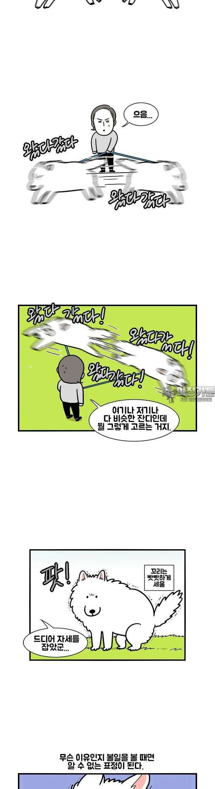 극한견주 11화 똥 4