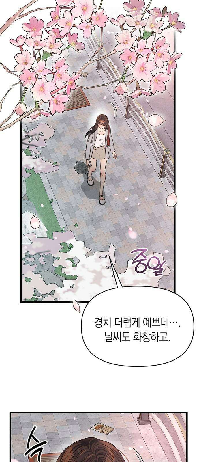 우아한 욕망 47화 14