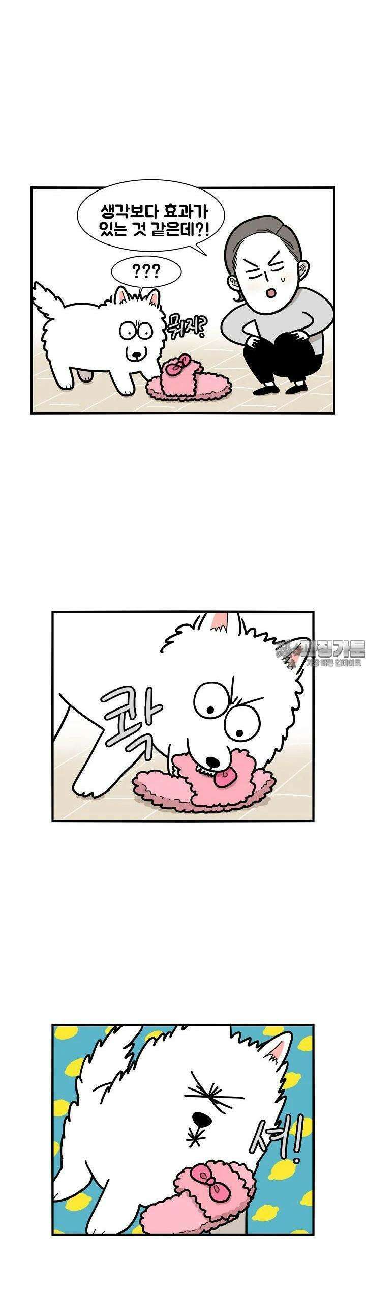 극한견주 22화 이갈이 2 3