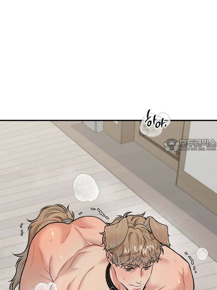 BDSM 기본지침서 14화 3