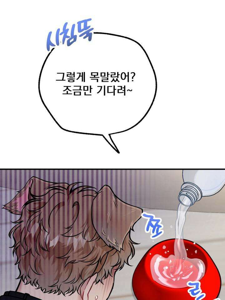 BDSM 기본지침서 14화 22