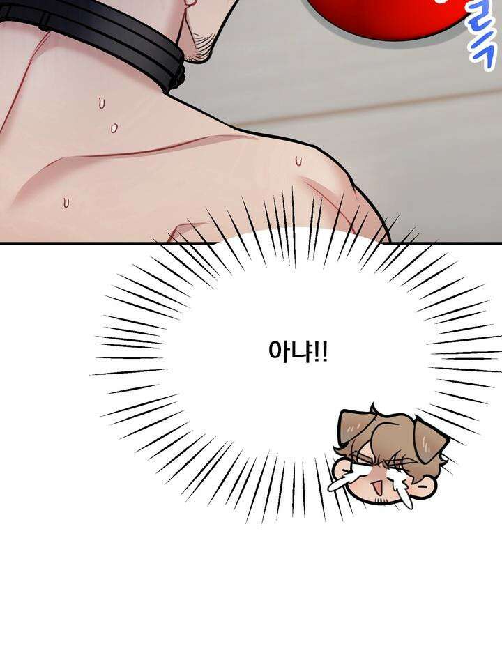 BDSM 기본지침서 14화 23