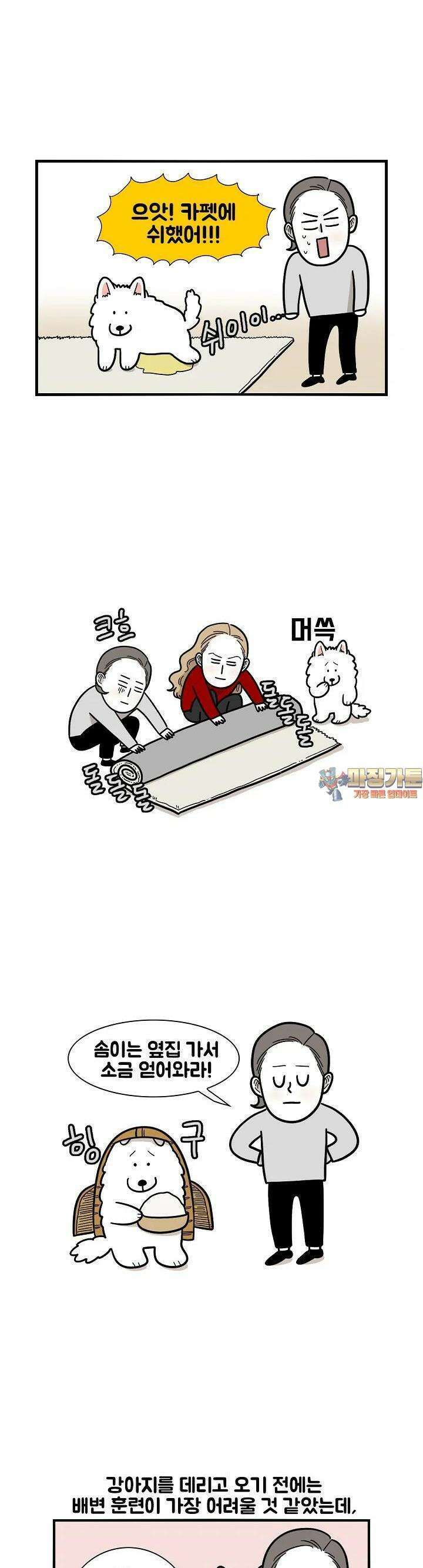 극한견주 33화 배변훈련 1