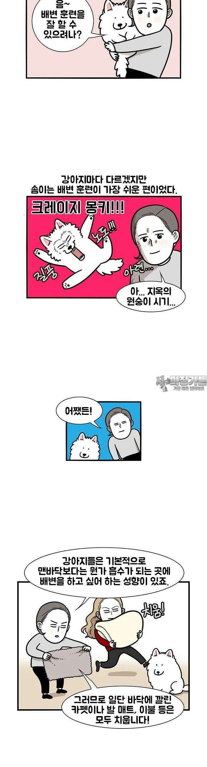 극한견주 33화 배변훈련 2