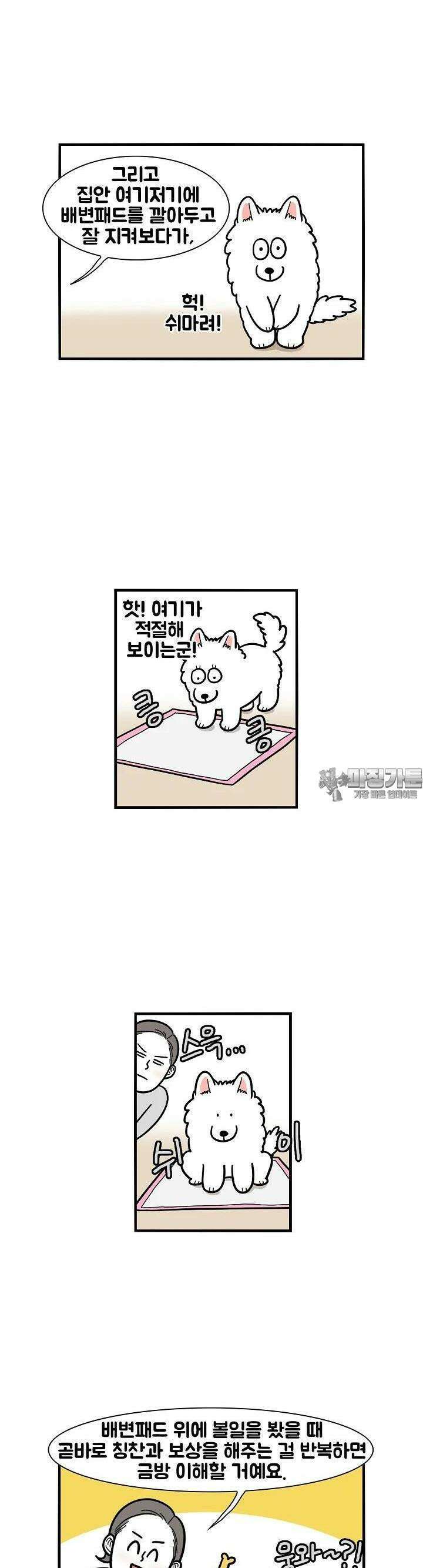 극한견주 33화 배변훈련 3