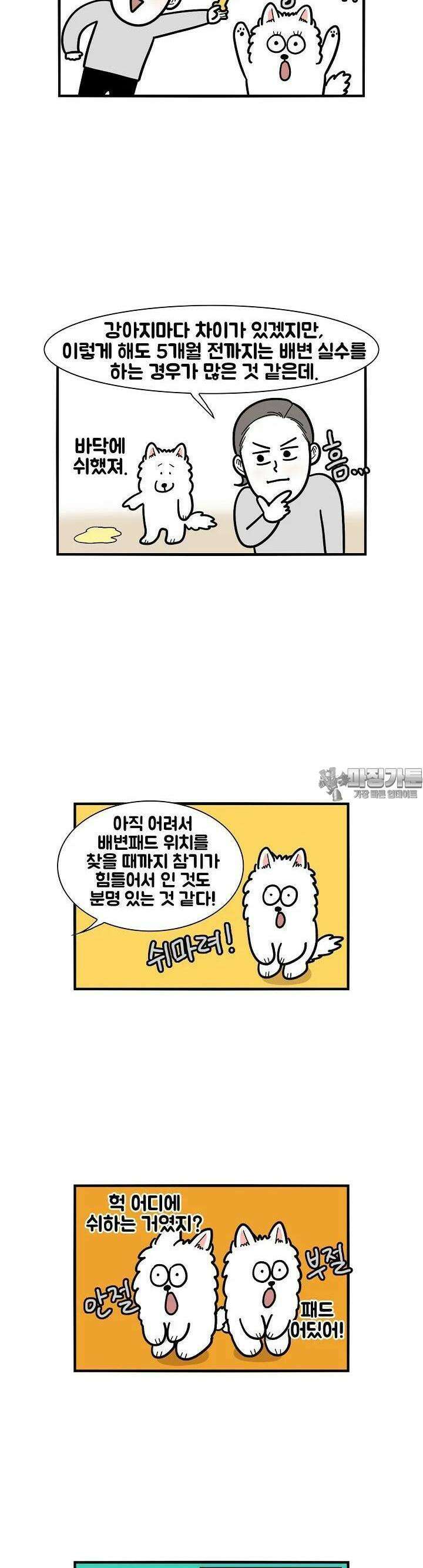 극한견주 33화 배변훈련 4