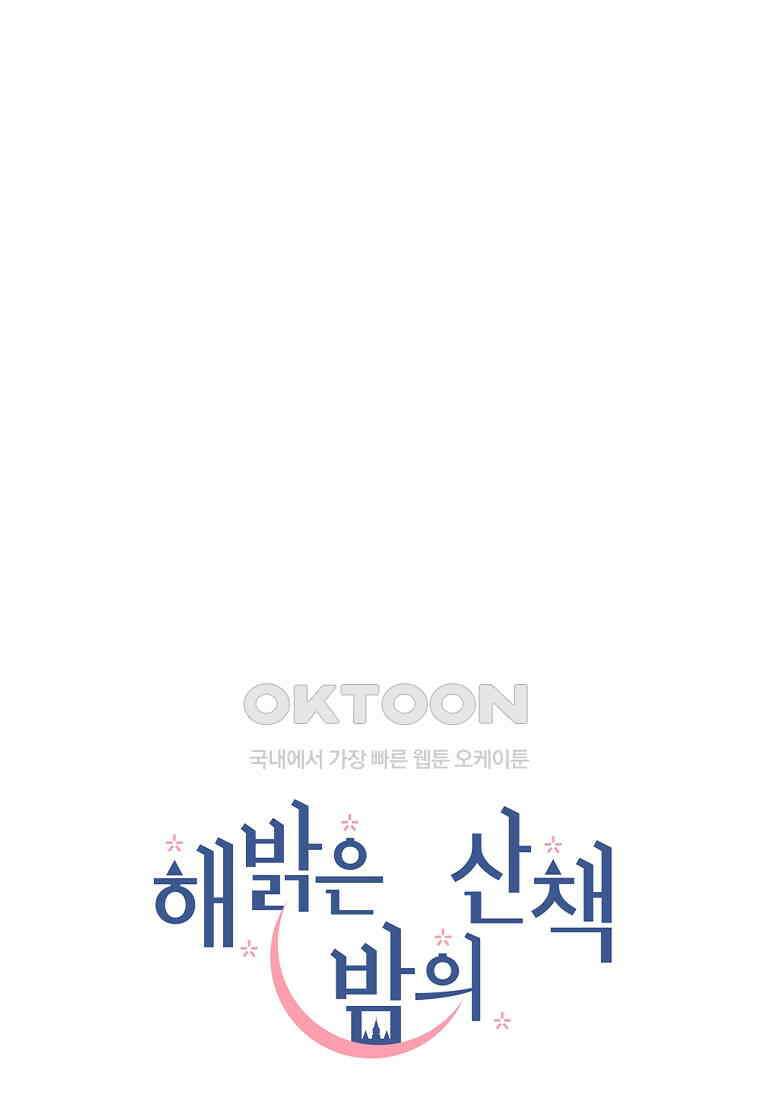 해 밝은 밤의 산책 61 11