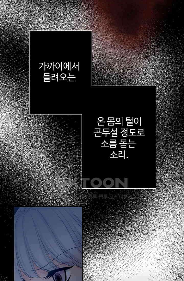 8번째 신부 81화 2